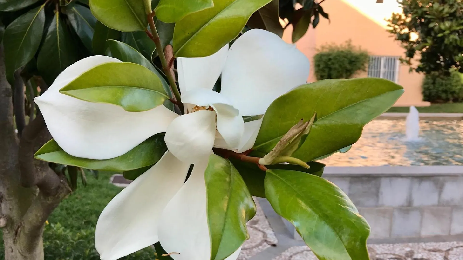 Elviria Gardens Apartamento Marbella Espanha